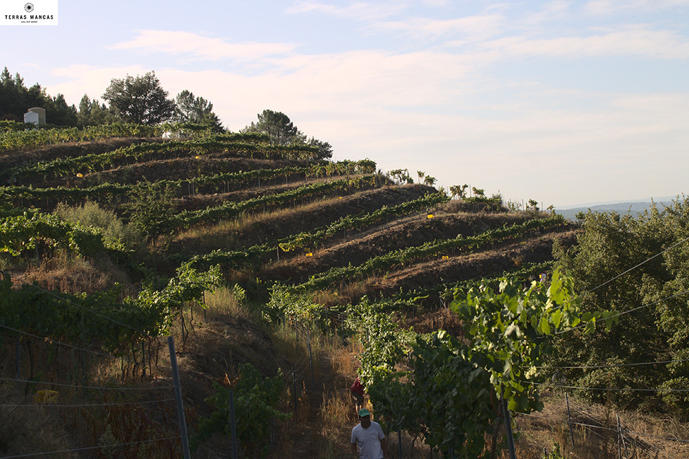 terras-mancas-02